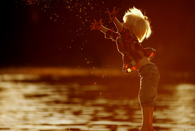 backlit-photography