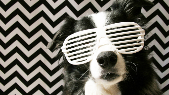 10 Best Photography Ideas To Do At Home DesignGrapher Com